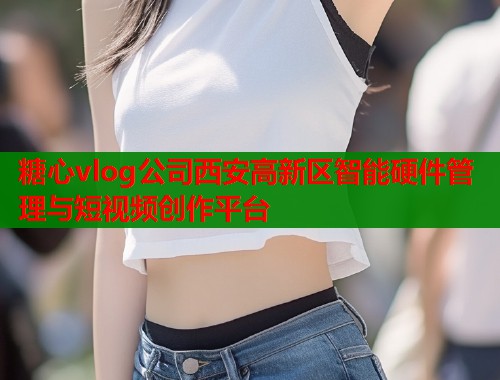 糖心vlog公司西安高新区智能硬件管理与短视频创作平台